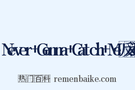 Never+Gonna+Catch+Me反义词是什么意思的图片